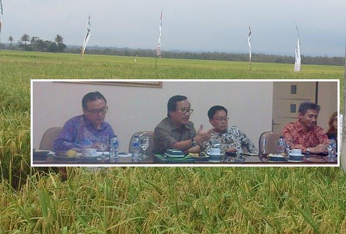 Musim Kemarau Mulai April 2015 Diperkirakan Cakup 1.234 Kecamatan